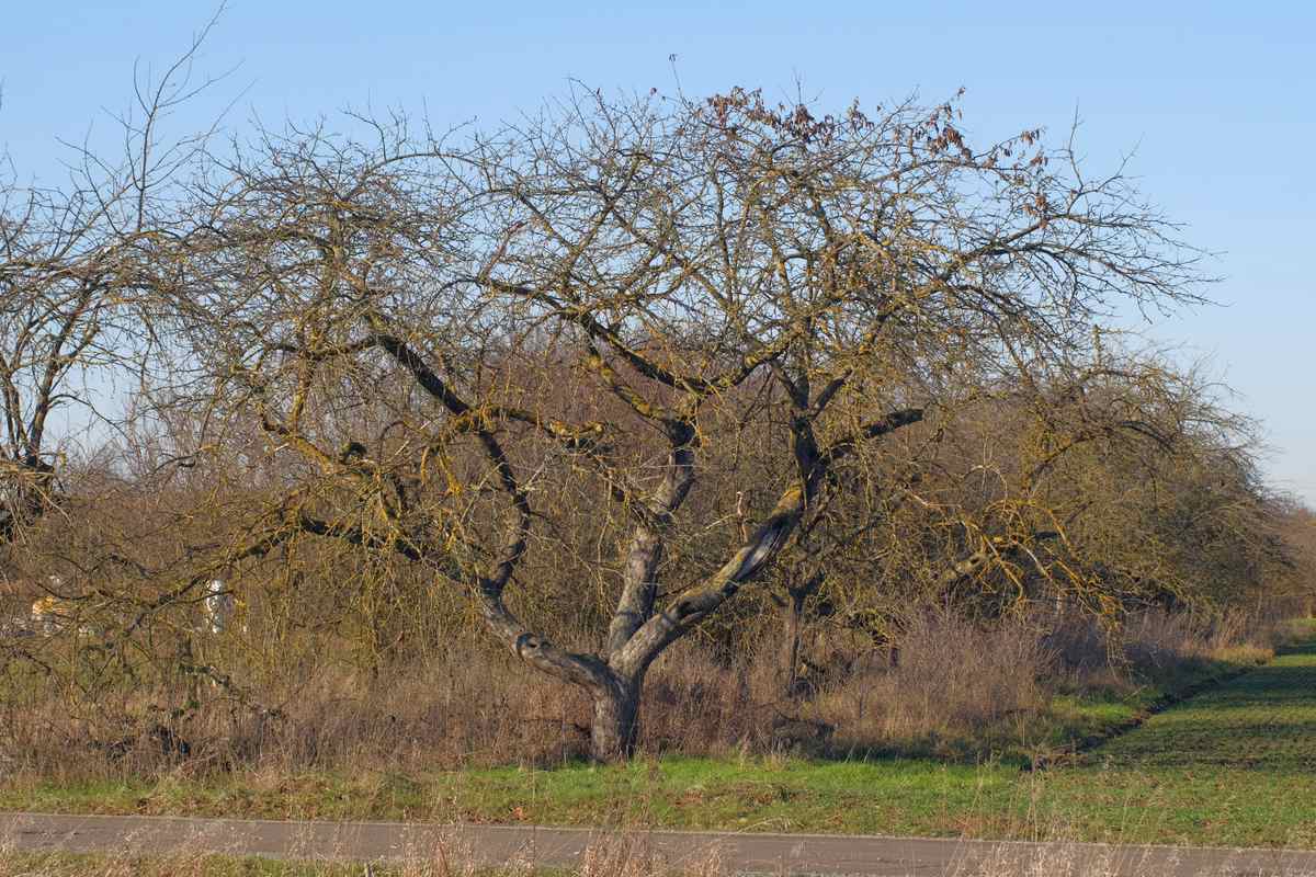 Bei Eppertshausen