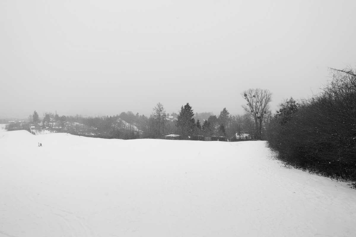 Wald/Stellplatz