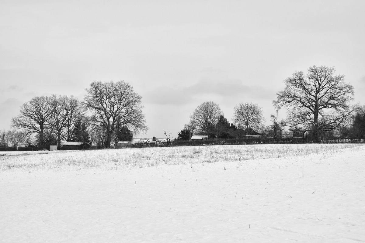 Wald/Stellplatz