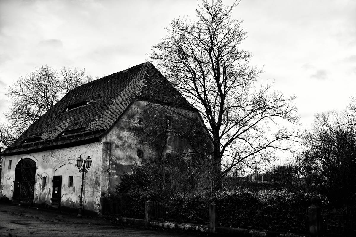 Wald/Stellplatz