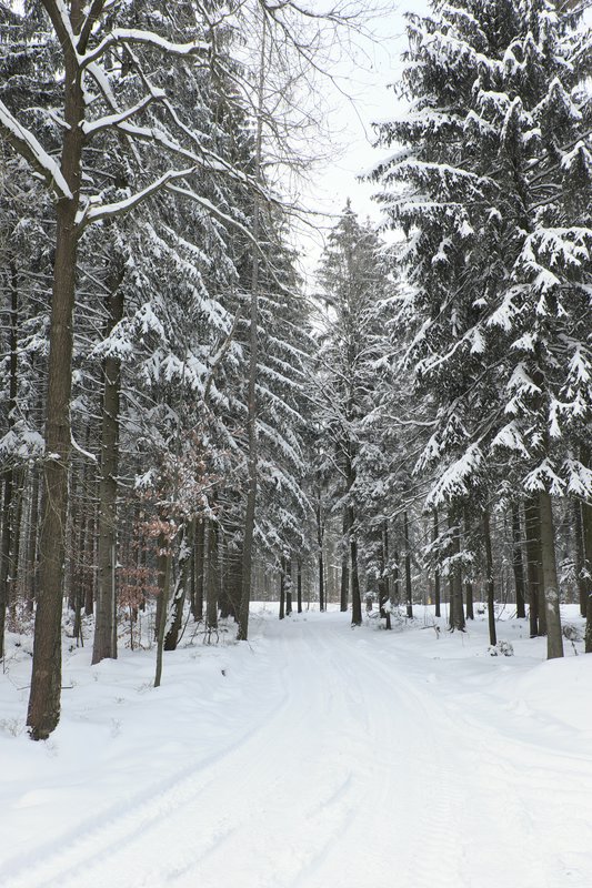 Sächschise Schweiz