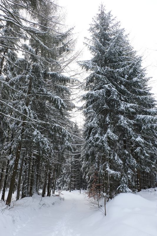 Sächschise Schweiz