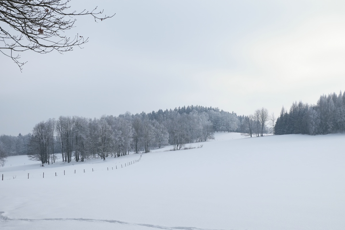 Sächschise Schweiz