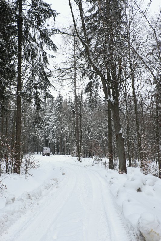 Sächschise Schweiz