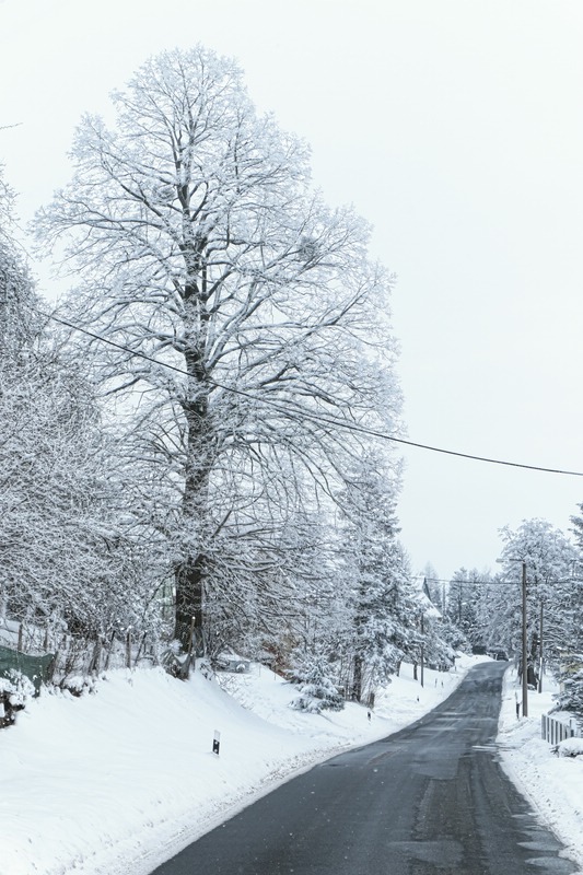 Sächschise Schweiz