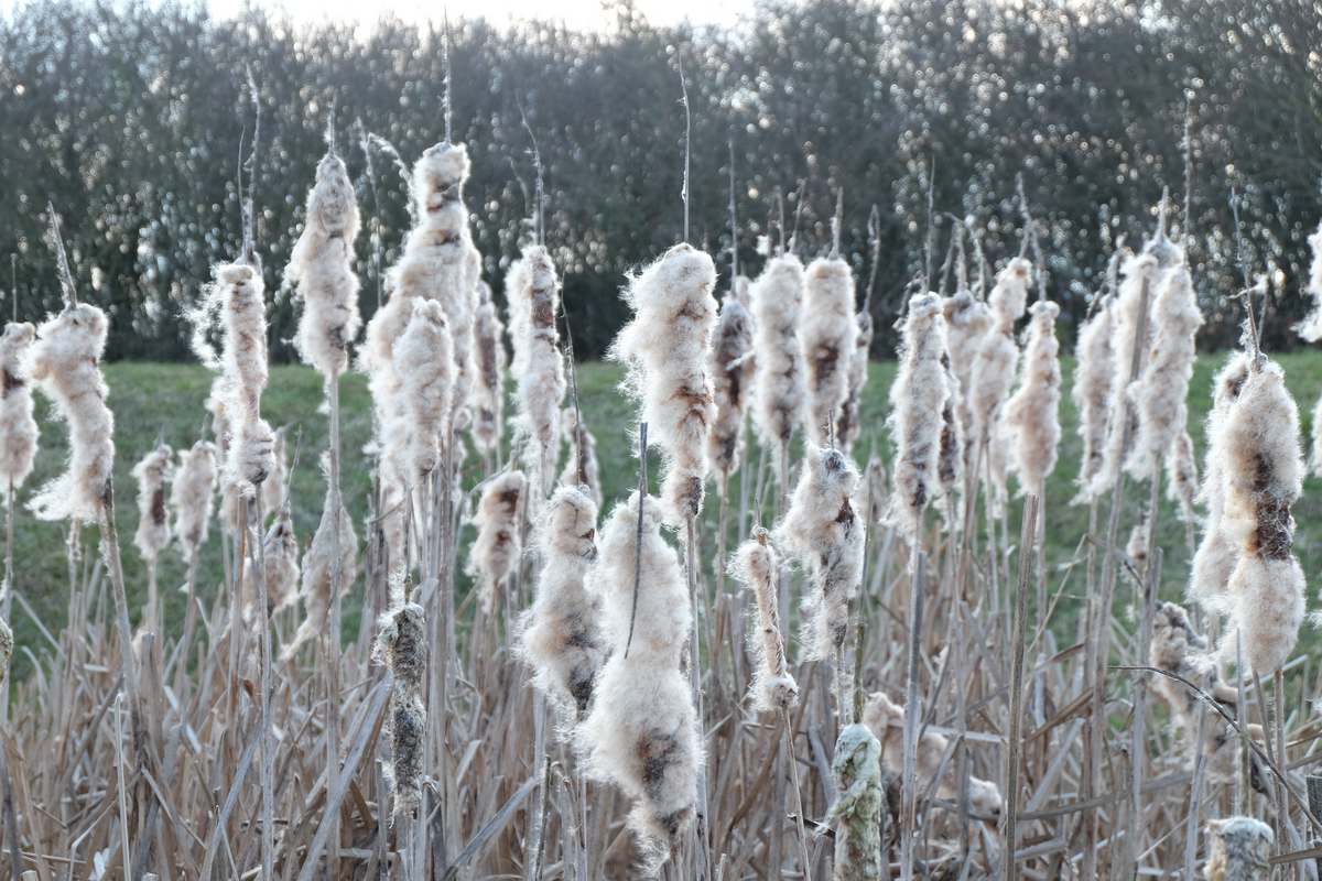 Spaziergang