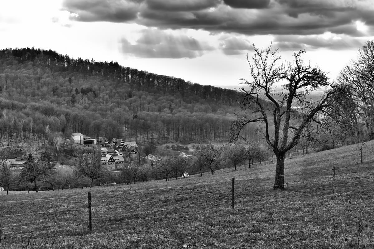 Odenwald