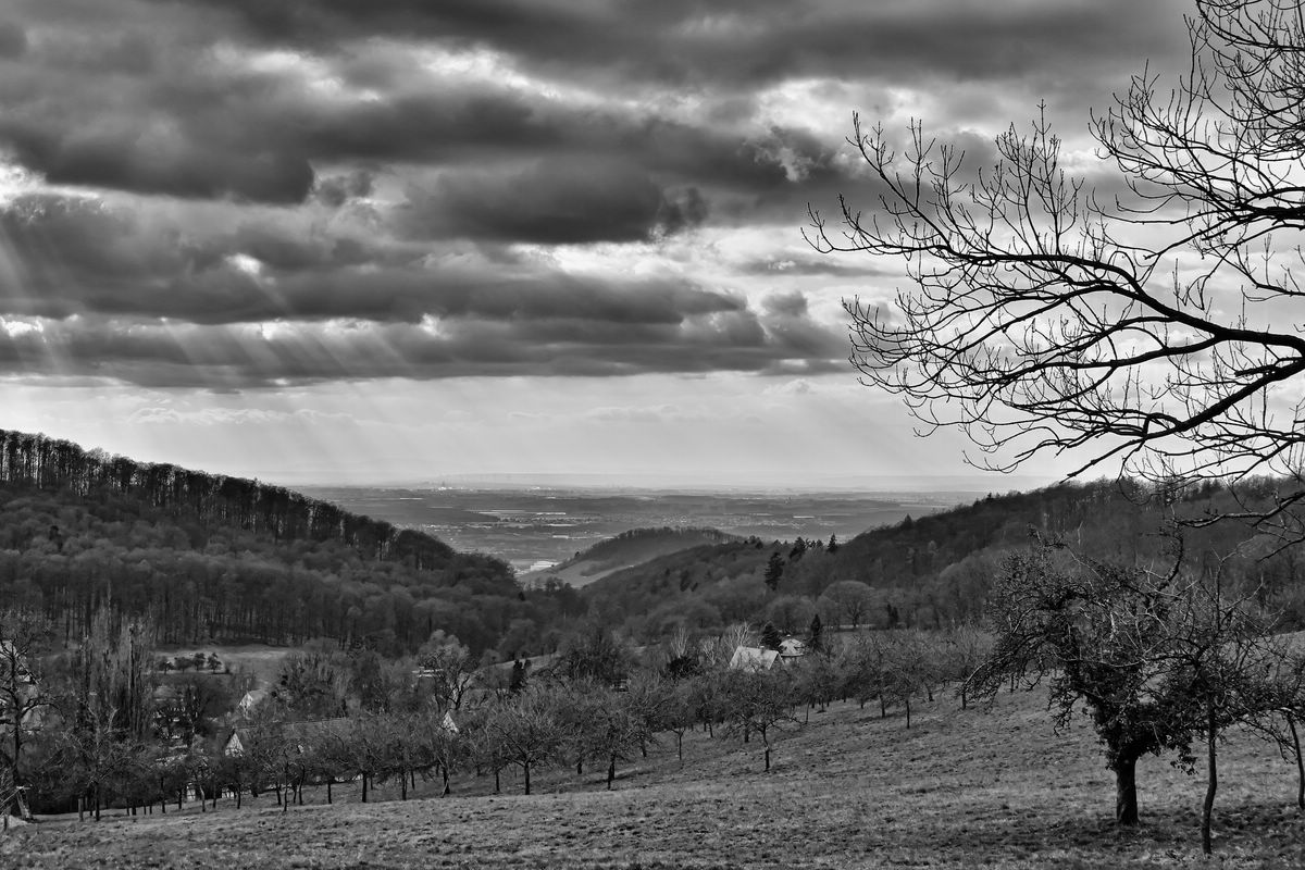 Odenwald