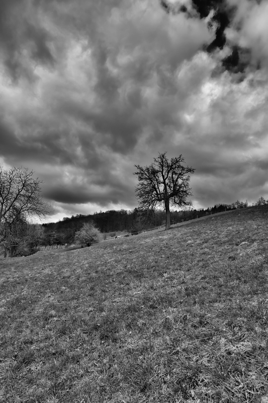 Odenwald