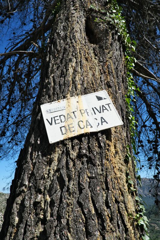 Moped Ausflug