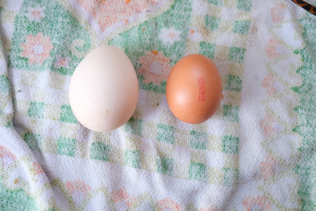 Fruehstueck