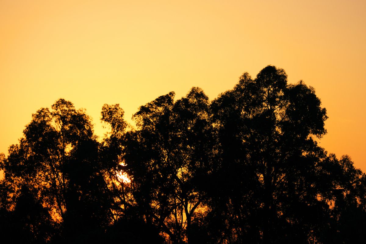 Sonnenuntergang