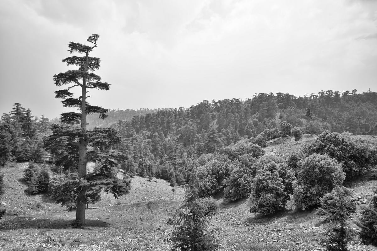 unterwegs