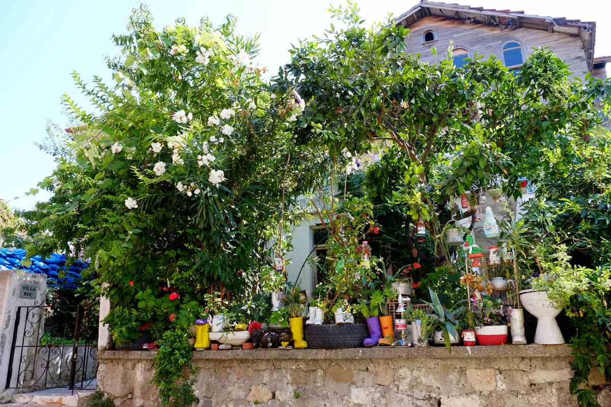 Amasra